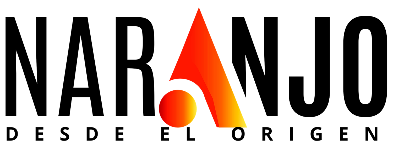 Proyecto Naranjo MX Logo