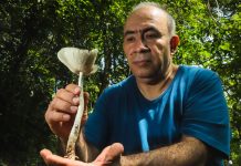 El reino que habita Chiapas